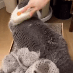 Cepillo A Vapor - Fresh Paws