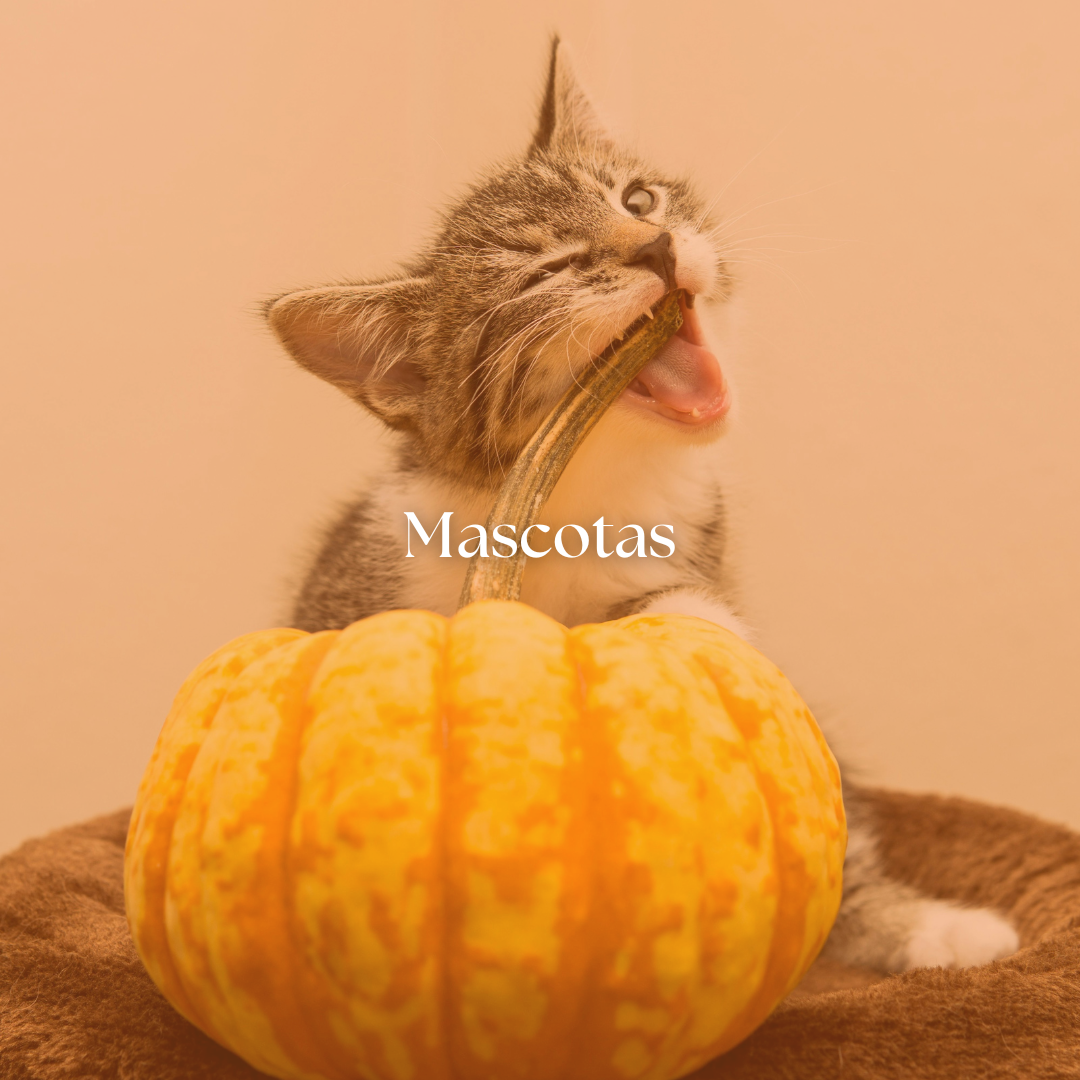 Mascotas